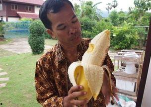 大香蕉国产成人,揭秘国内成人影视产业的崛起与挑战